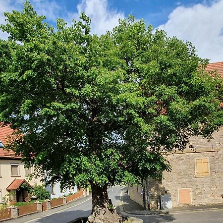 Ferienwohnung Zur Linde Dettelbach Bagian luar foto