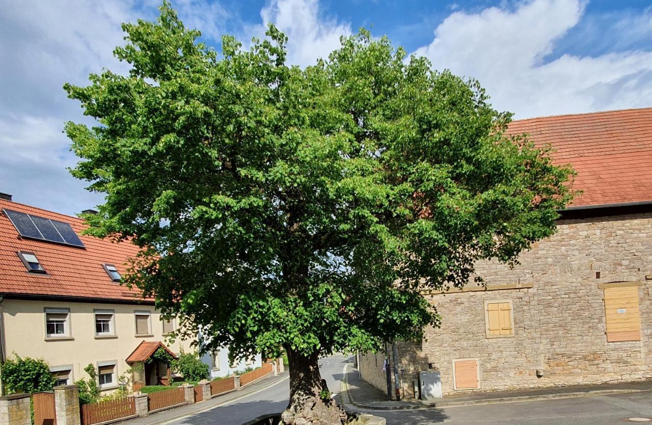Ferienwohnung Zur Linde Dettelbach Bagian luar foto
